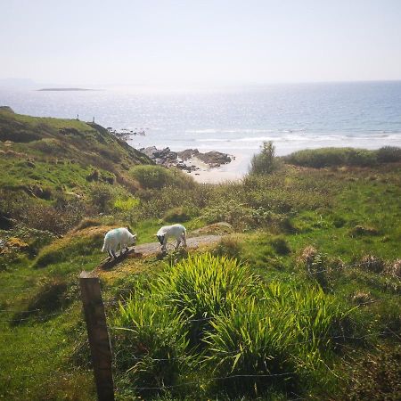 Anne'S Thatched Cottage Kilcar 외부 사진