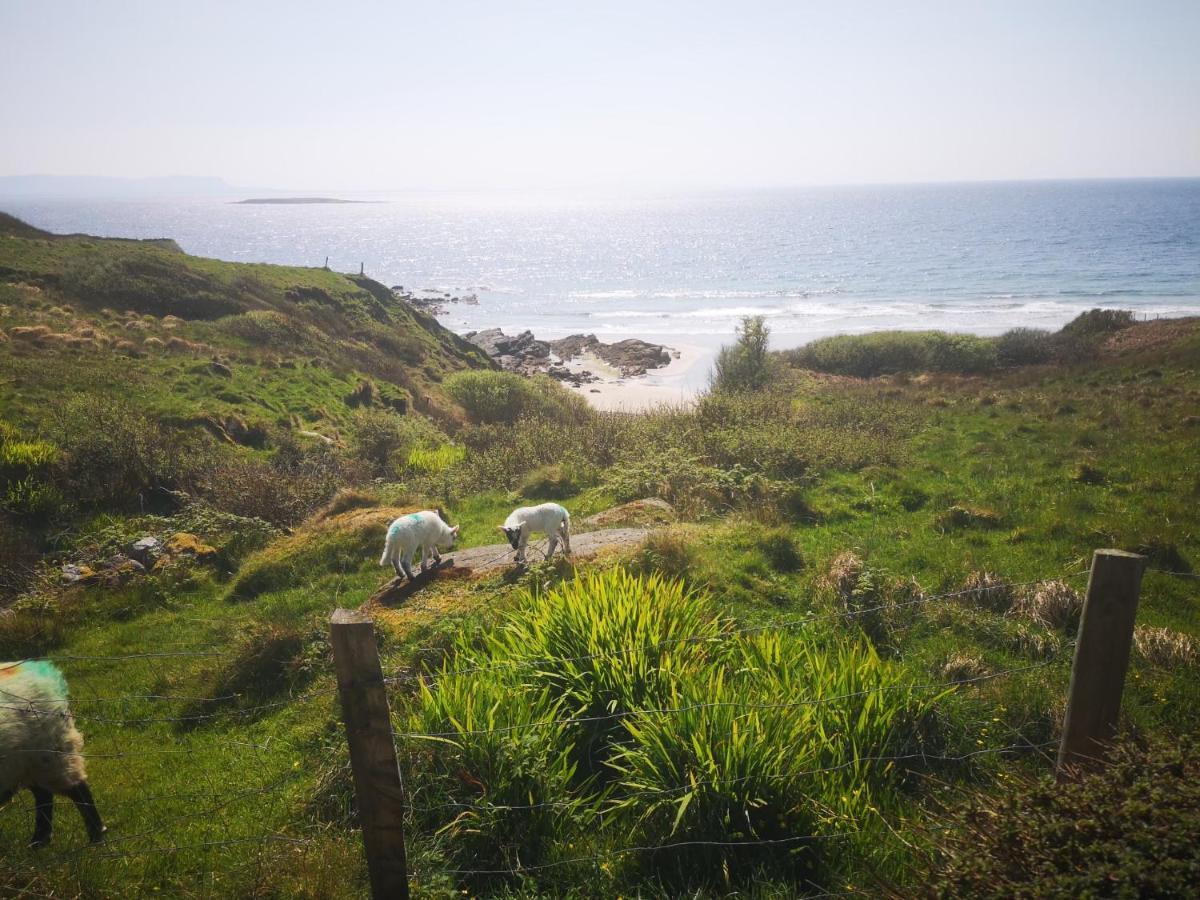 Anne'S Thatched Cottage Kilcar 외부 사진